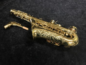 Photo New! Eastman EAS650 Rue Saint Georges Eb Alto Saxophone – New Pro Alto